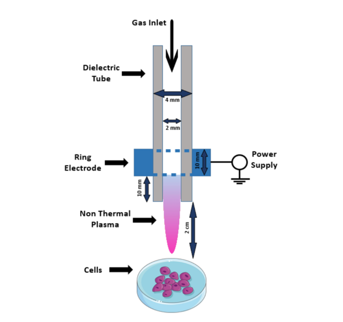 ارزیابی بیوفیزیکی درمان سلول‌های بنیادی مشتق از بافت چربی با استفاده از پلاسمای فشار اتمسفر غیرحرارتی
